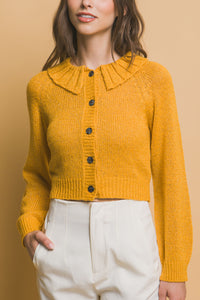 Short collard sweater (Yellow)