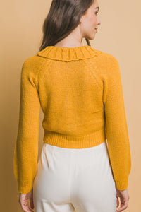 Short collard sweater (Yellow)